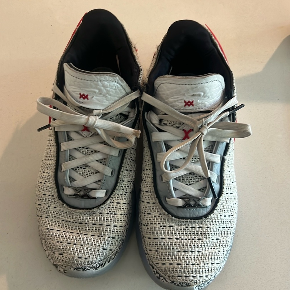 Nike LeBron 20 ‘The Debut’ - Size 7.5